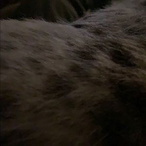 Meet your Posher, Brad